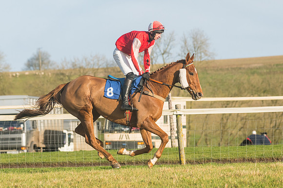 Race 4 - Veteran Horses (15 of 167)