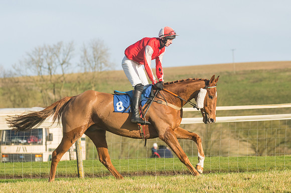 Race 4 - Veteran Horses (16 of 167)