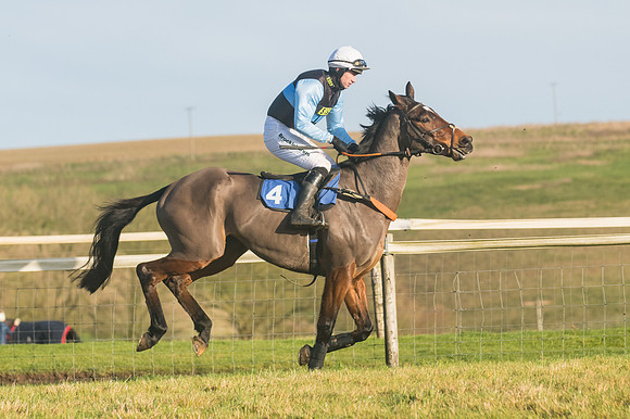 Race 4 - Veteran Horses (17 of 167)
