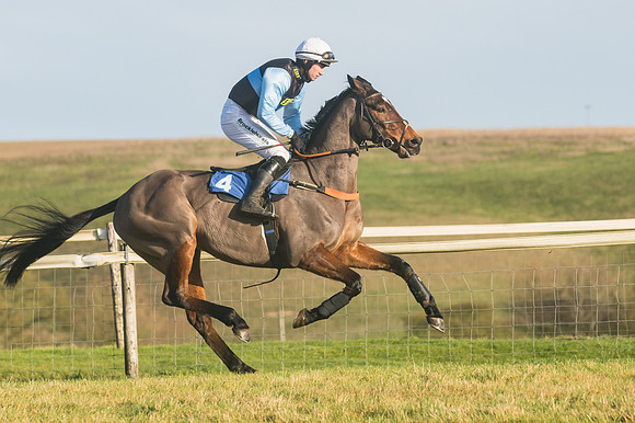 Race 4 - Veteran Horses (18 of 167)
