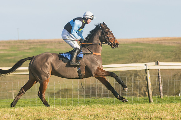 Race 4 - Veteran Horses (19 of 167)