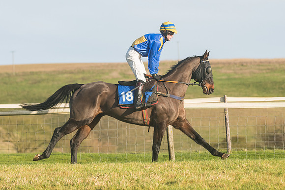Race 4 - Veteran Horses (20 of 167)