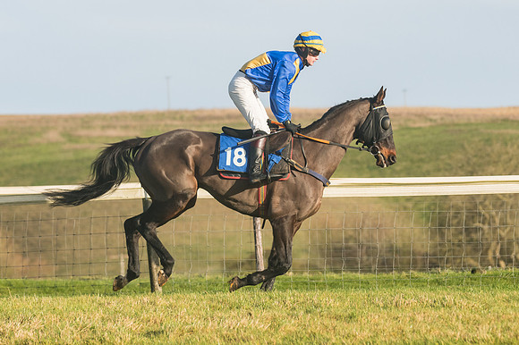 Race 4 - Veteran Horses (21 of 167)