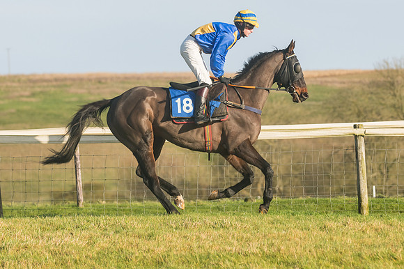 Race 4 - Veteran Horses (22 of 167)