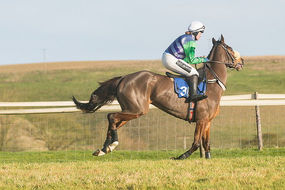 Race 4 - Veteran Horses (23 of 167)
