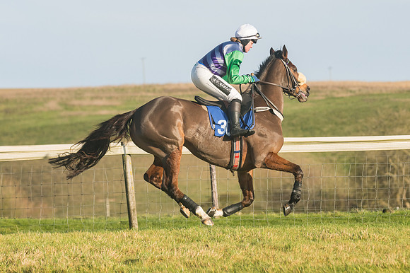 Race 4 - Veteran Horses (24 of 167)
