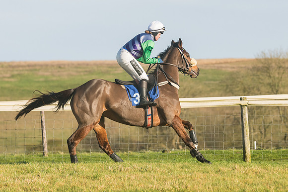 Race 4 - Veteran Horses (25 of 167)