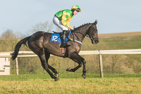 Race 4 - Veteran Horses (26 of 167)