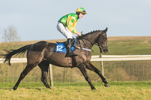 Race 4 - Veteran Horses (27 of 167)