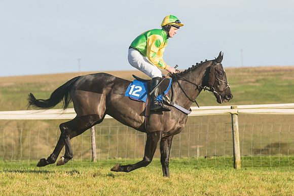 Race 4 - Veteran Horses (28 of 167)
