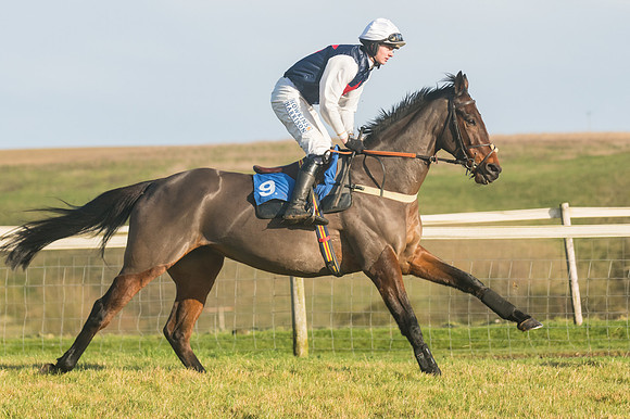 Race 4 - Veteran Horses (29 of 167)