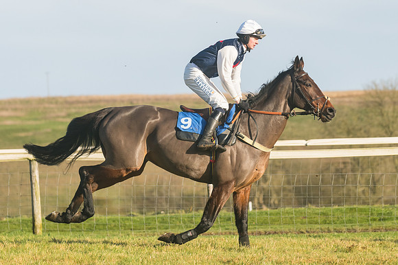 Race 4 - Veteran Horses (30 of 167)