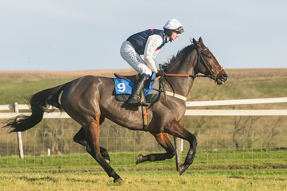 Race 4 - Veteran Horses (31 of 167)