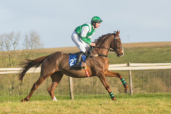 Race 4 - Veteran Horses (32 of 167)