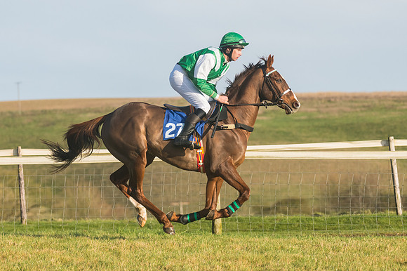 Race 4 - Veteran Horses (33 of 167)
