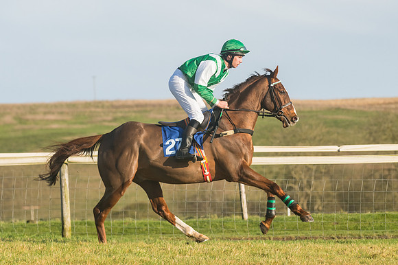 Race 4 - Veteran Horses (34 of 167)