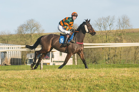 Race 4 - Veteran Horses (36 of 167)