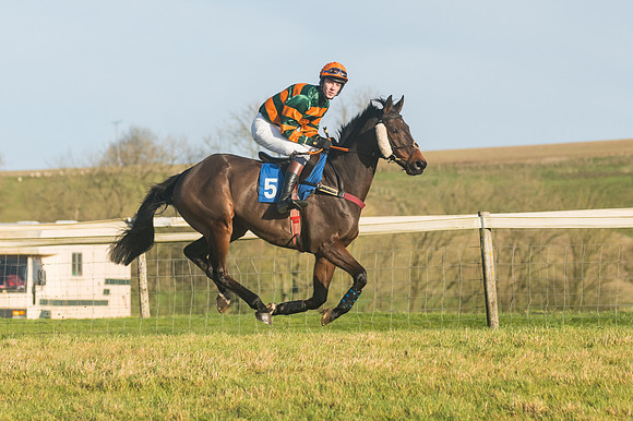 Race 4 - Veteran Horses (37 of 167)