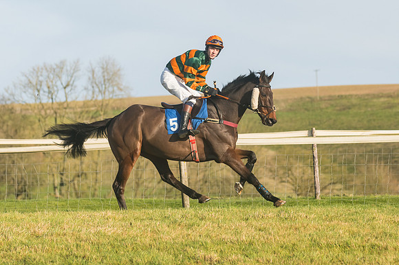 Race 4 - Veteran Horses (38 of 167)