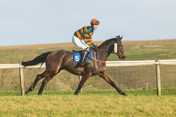 Race 4 - Veteran Horses (39 of 167)