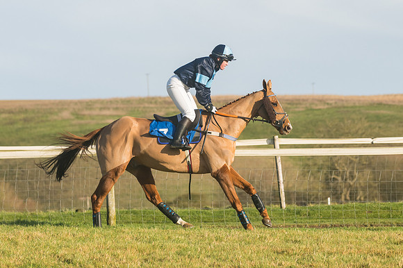 Race 4 - Veteran Horses (40 of 167)