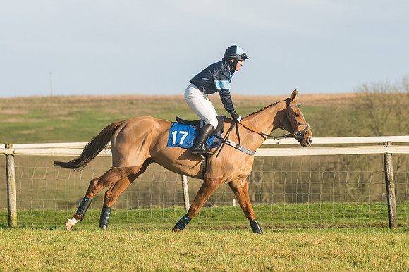 Race 4 - Veteran Horses (41 of 167)
