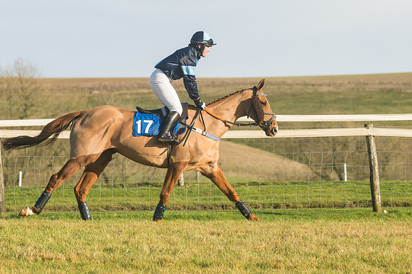 Race 4 - Veteran Horses (42 of 167)