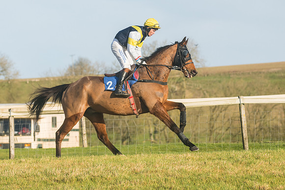 Race 4 - Veteran Horses (43 of 167)