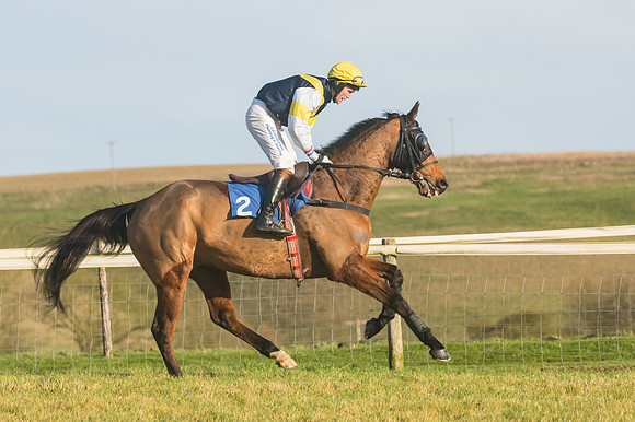 Race 4 - Veteran Horses (44 of 167)