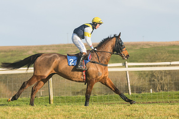 Race 4 - Veteran Horses (45 of 167)
