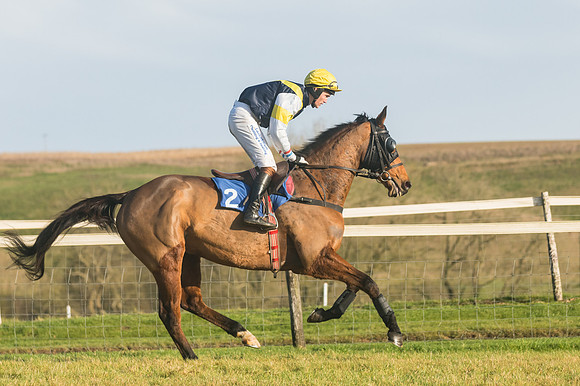 Race 4 - Veteran Horses (46 of 167)