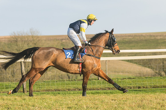 Race 4 - Veteran Horses (47 of 167)