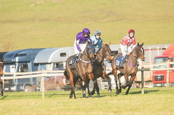 Race 4 - Veteran Horses (48 of 167)