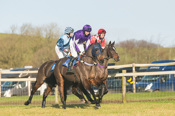 Race 4 - Veteran Horses (49 of 167)
