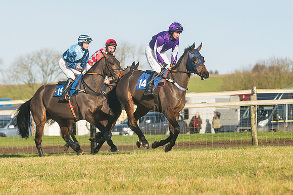 Race 4 - Veteran Horses (50 of 167)