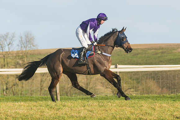 Race 4 - Veteran Horses (51 of 167)