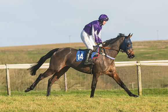 Race 4 - Veteran Horses (52 of 167)