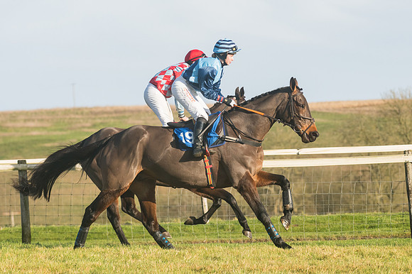 Race 4 - Veteran Horses (53 of 167)