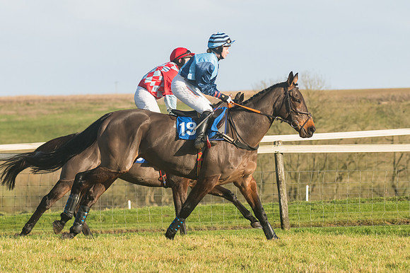 Race 4 - Veteran Horses (54 of 167)