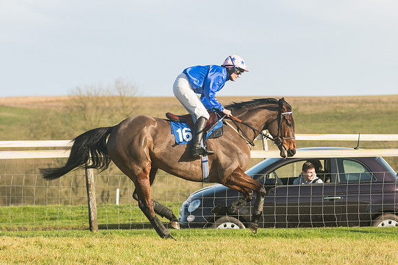 Race 4 - Veteran Horses (55 of 167)