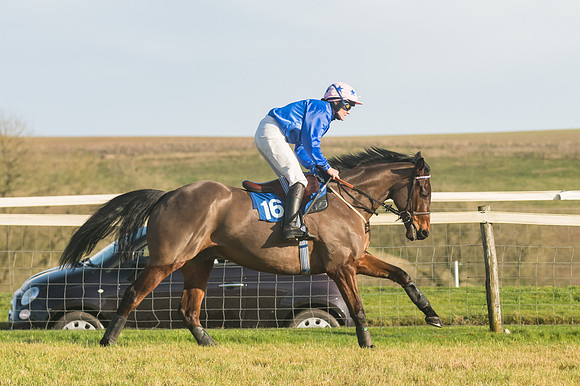 Race 4 - Veteran Horses (56 of 167)