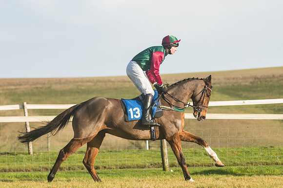 Race 4 - Veteran Horses (57 of 167)
