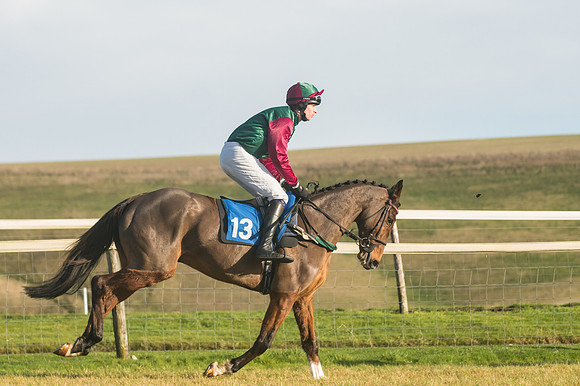 Race 4 - Veteran Horses (58 of 167)