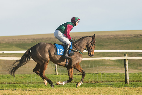 Race 4 - Veteran Horses (59 of 167)