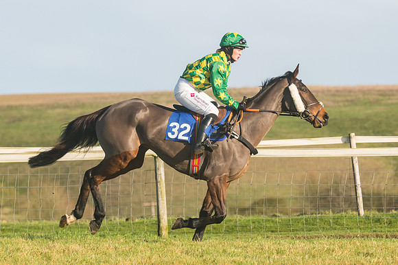Race 4 - Veteran Horses (62 of 167)