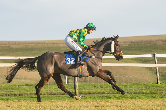 Race 4 - Veteran Horses (63 of 167)