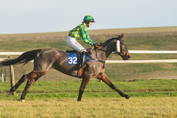 Race 4 - Veteran Horses (64 of 167)