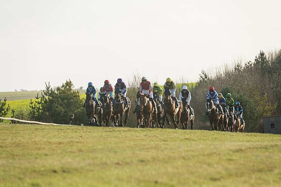 Race 4 - Veteran Horses (66 of 167)