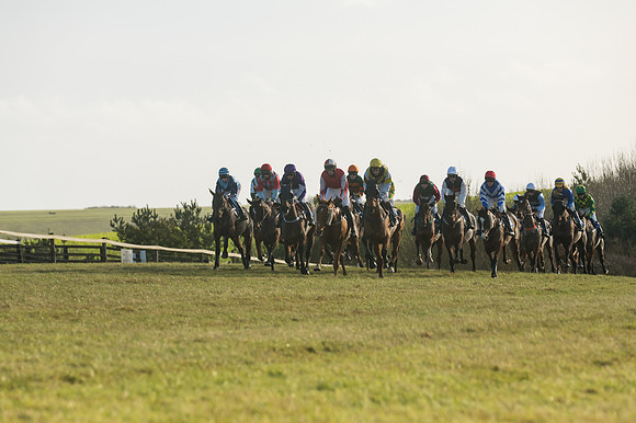 Race 4 - Veteran Horses (67 of 167)