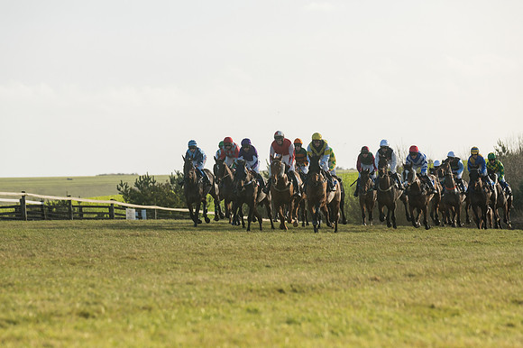 Race 4 - Veteran Horses (68 of 167)